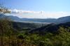 Nic's plum orchard in Luming 鹿鳴 DSC_0368