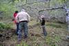 Where people used to live before the plum trees were planted, the quiet space.