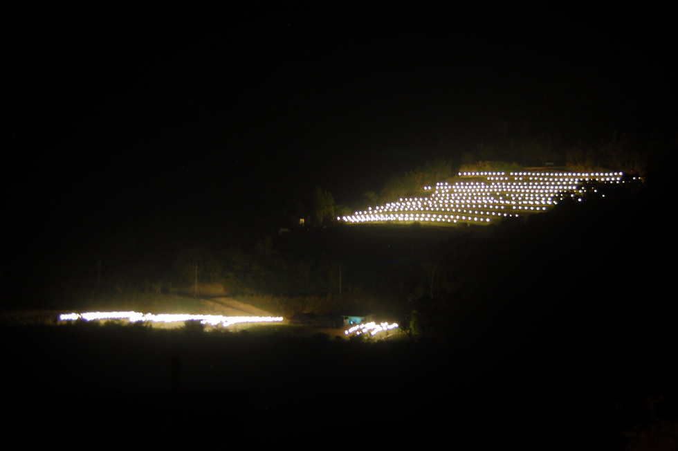 Nenggao Trail 能高越嶺道 DSC_9266