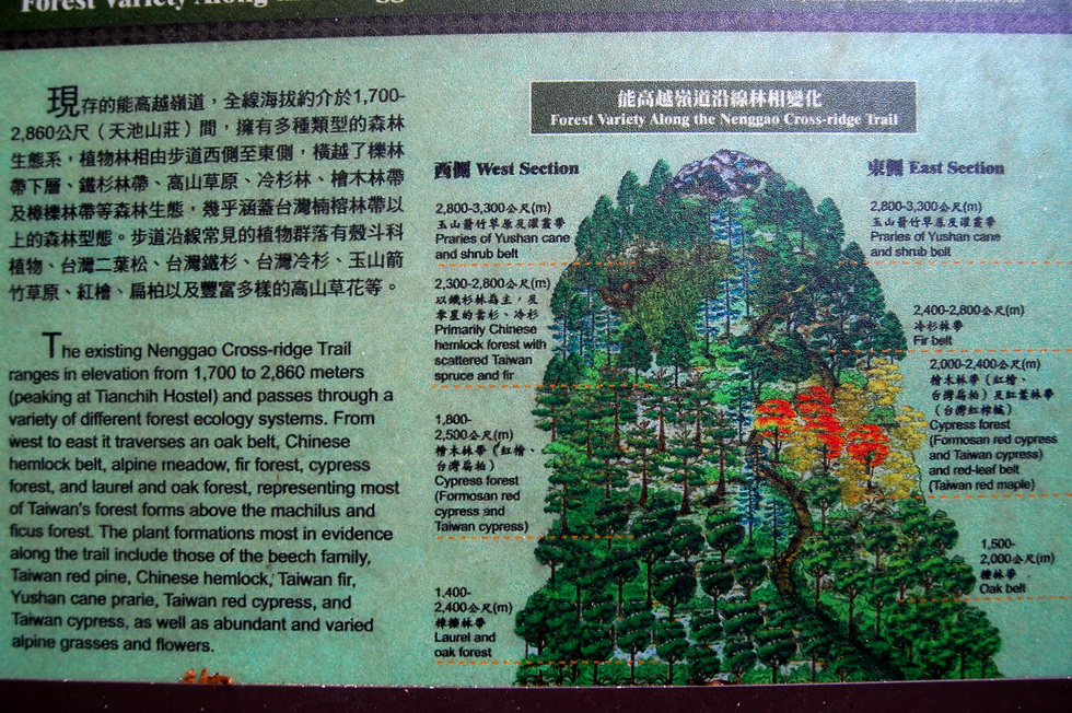 Nenggao Trail 能高越嶺道 DSC_9316