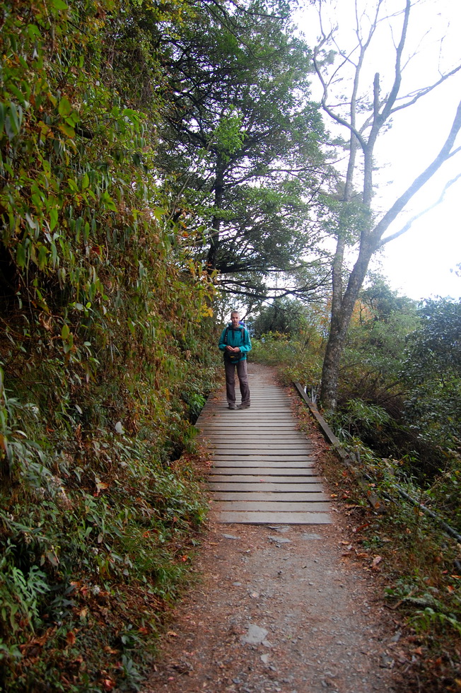 Nenggao Trail 能高越嶺道 DSC_9363