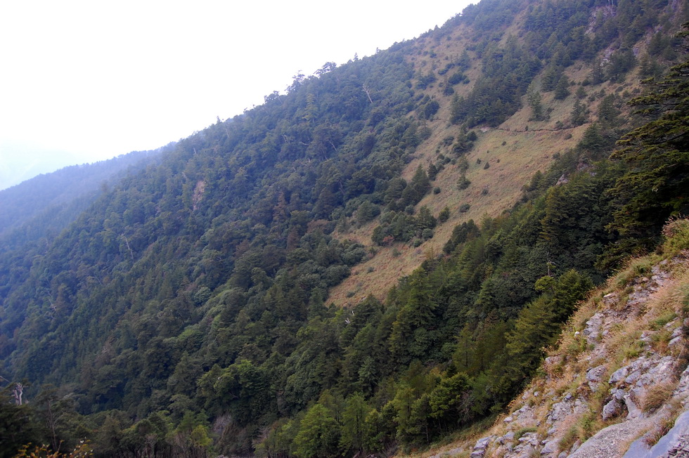 Nenggao Trail 能高越嶺道 DSC_9490