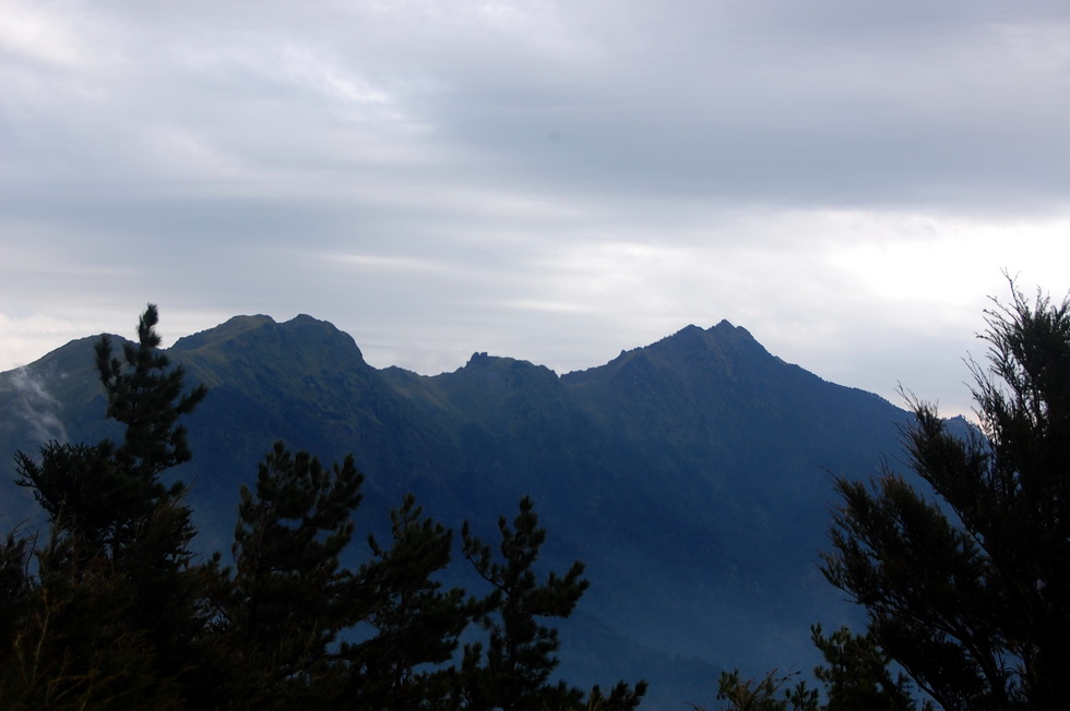 Nenggao Trail 能高越嶺道 DSC_9522