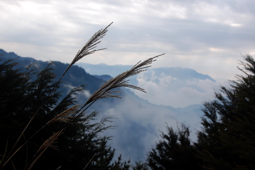 Nenggao Trail 能高越嶺道 DSC_9523