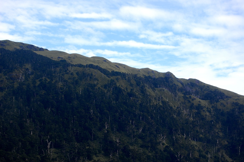 Nenggao Trail 能高越嶺道 DSC_9541