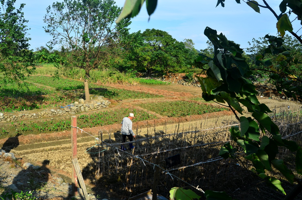 ﻿Outing to Taoyuan, Daxi area: Yiho Farming Community and 撒烏瓦知部落 DSC_1542