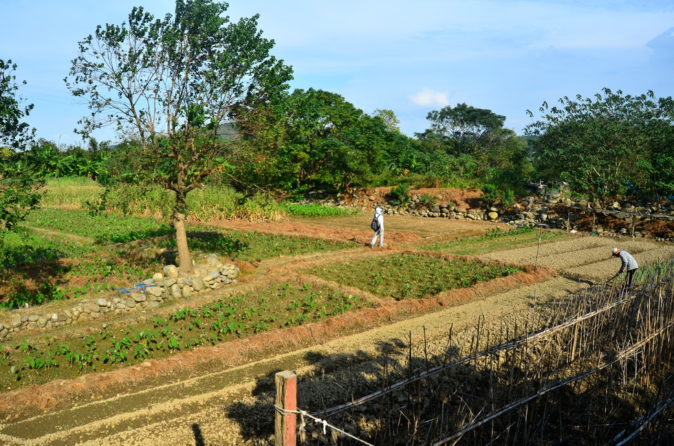 ﻿Outing to Taoyuan, Daxi area: Yiho Farming Community and 撒烏瓦知部落 DSC_1545