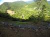 Bamboo forest clear cut at the head of the Fushan-Baling Trail 巴福越嶺古道