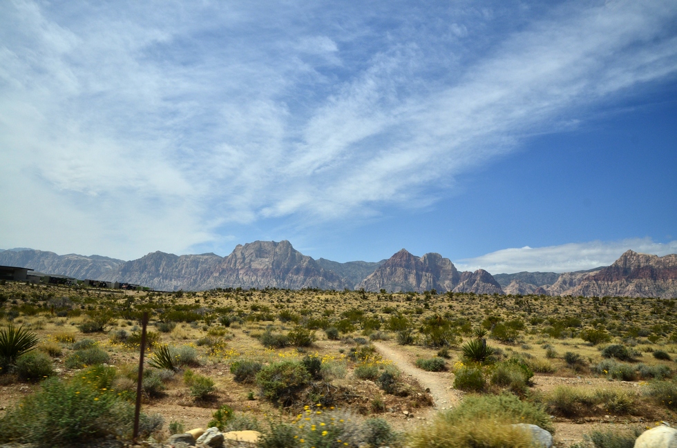 Red Rock Canyon DSC_2887