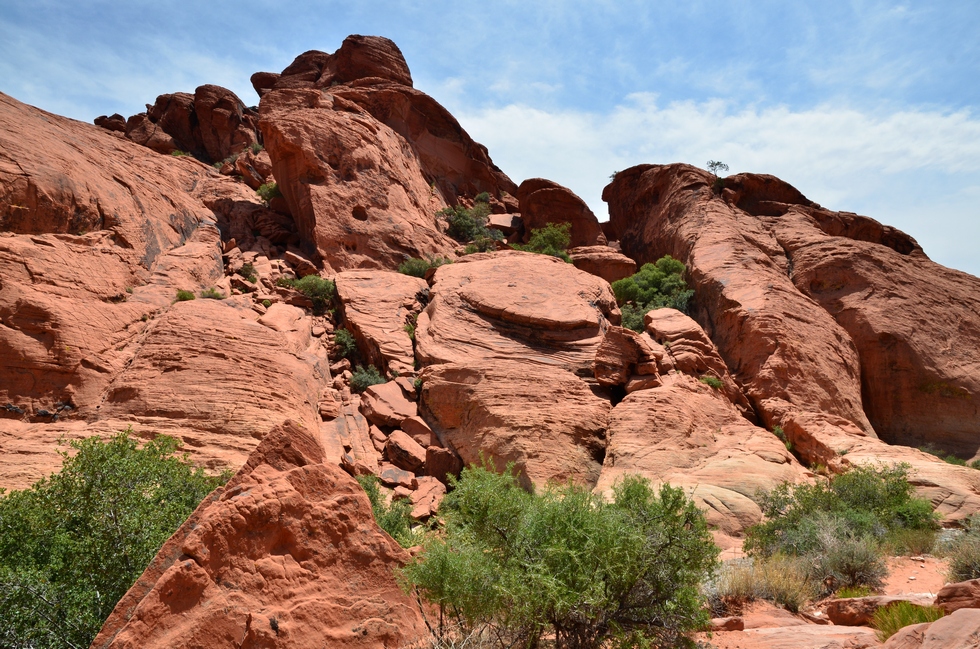 Red Rock Canyon DSC_2911