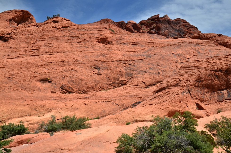 Red Rock Canyon DSC_2927