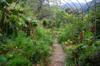 abundance in the community garden