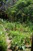 next photo: Early spring in the community garden on the second terrace