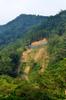 repaired road visible on the road to the Hapen trail 哈盆越嶺步道 head across the valley