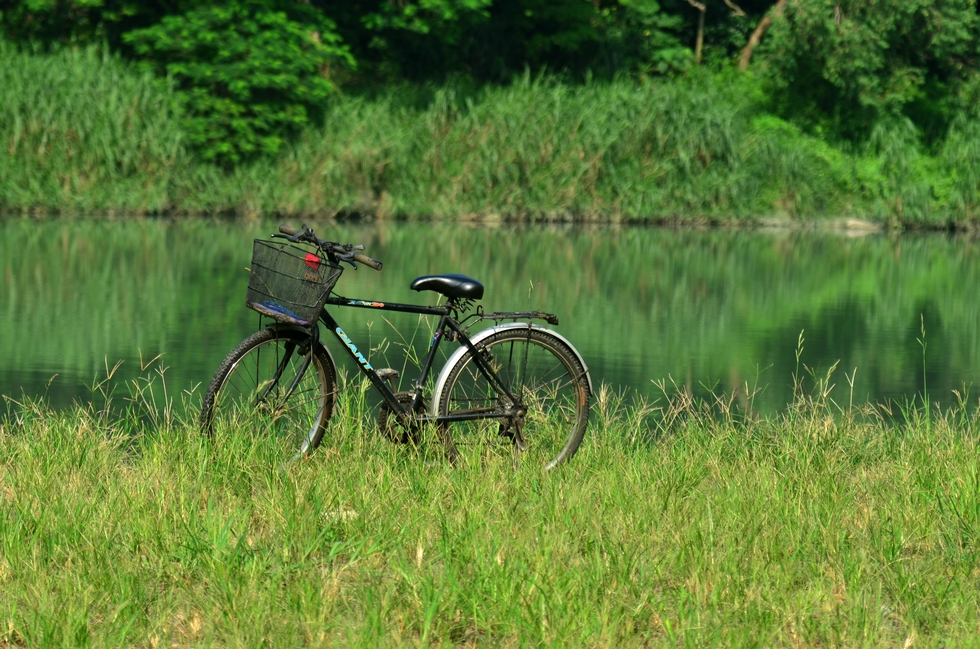 Bitan 碧潭 DSC_4116