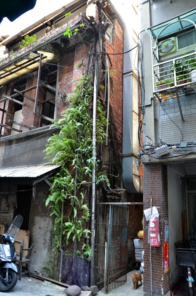 Dihua Street 迪化街 DSC_2161