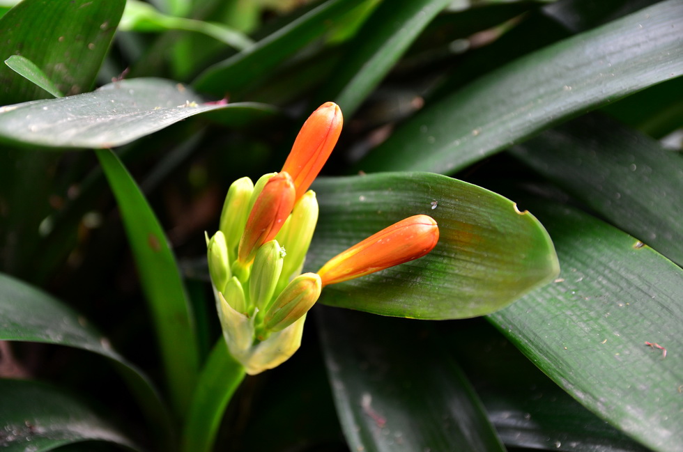 February DSC_2447