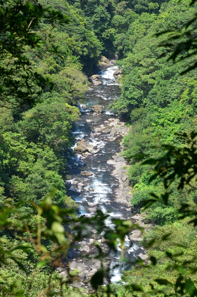 Fushan river visit with Bruce and Wendy DSC_3540