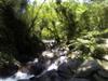 Fushan river with Nicholls GOPR1187