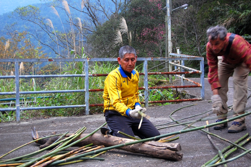 Rattan harvest 黃藤採收 DSC_0196