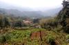 Shilin (Waishuangxi) Farm Visit DSC_9972