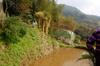 Shilin (Waishuangxi) Farm Visit DSC_9986