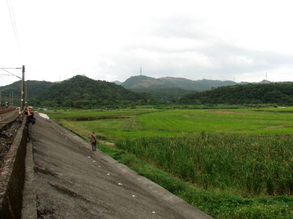 Tianliaoyang 田寮洋 IMG_4746