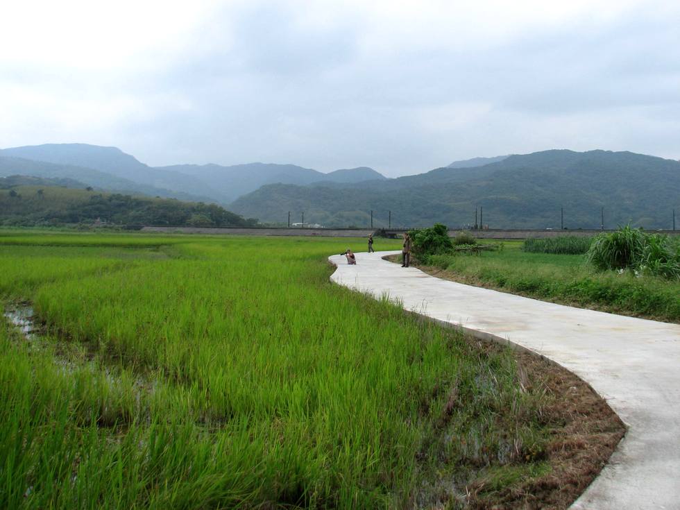 Tianliaoyang 田寮洋 IMG_4753