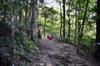 Xiao Wulai 小烏來 toward Beichatianshan 北插天山 DSC_2229