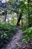 Xiao Wulai 小烏來 toward Beichatianshan 北插天山 DSC_2238