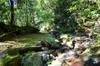 Xiao Wulai 小烏來 toward Beichatianshan 北插天山 DSC_2261