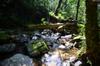 Xiao Wulai 小烏來 toward Beichatianshan 北插天山 DSC_2309