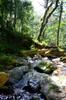 Xiao Wulai 小烏來 toward Beichatianshan 北插天山 DSC_2312