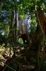 Xiao Wulai 小烏來 toward Beichatianshan 北插天山 DSC_2314