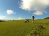 Bruce photographing Whiteford family