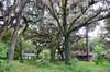 next photo: homestead under the live oaks