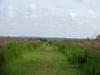 next photo: Christopher and Philip on Bolen Bluff Trail