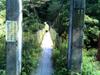 Bernard on the TaiPower suspension bridge in 桶后 Tonghou