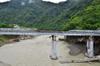 trees caught in the old guishan bridge