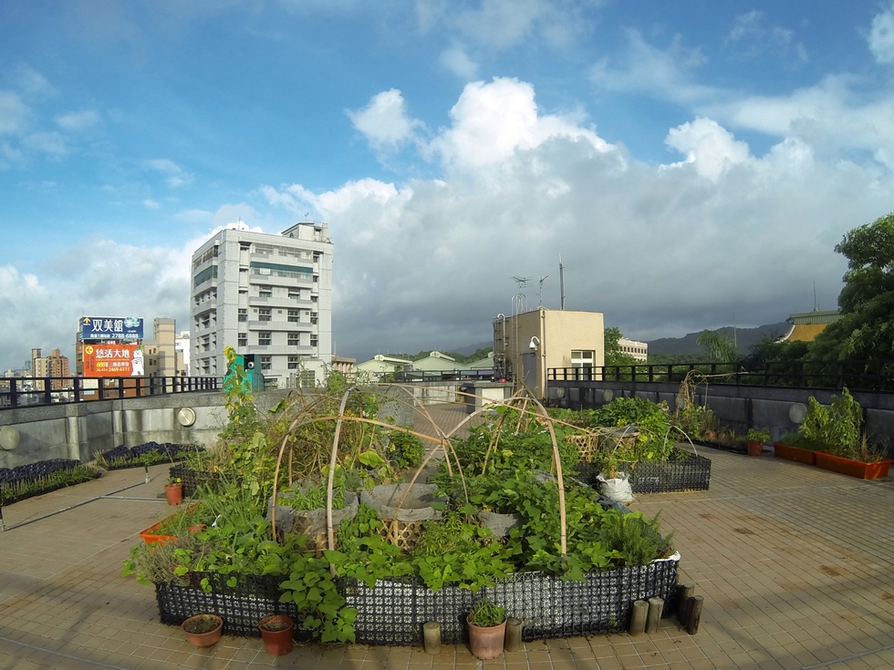 Buluo rooftop garden, July GOPR1491