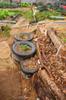 Potato towers in tires