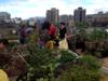 James and friends visit the Buluo Rooftop garden