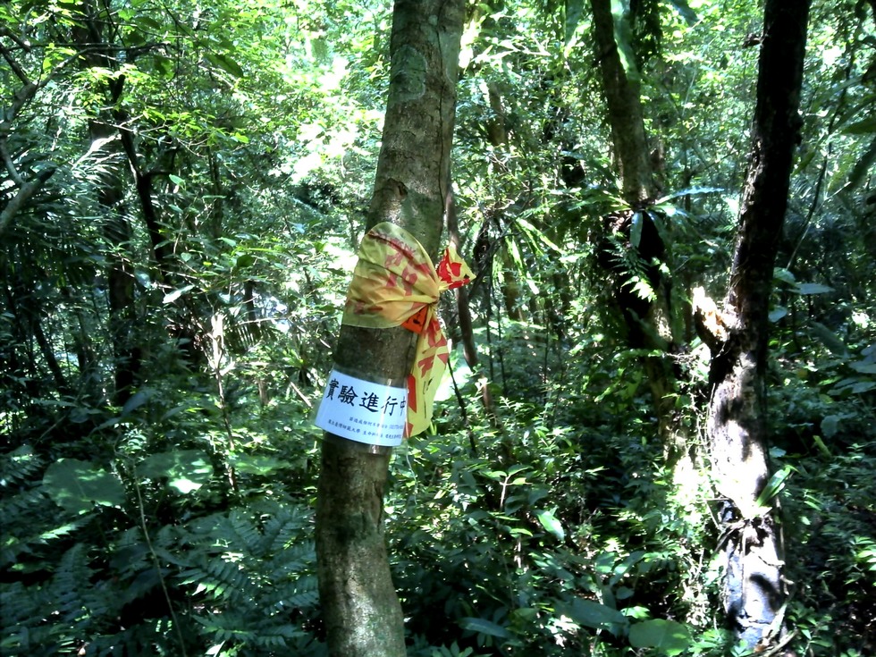 Fushan river hike DSC00058