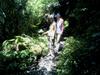 next photo: exploring plants along the trail