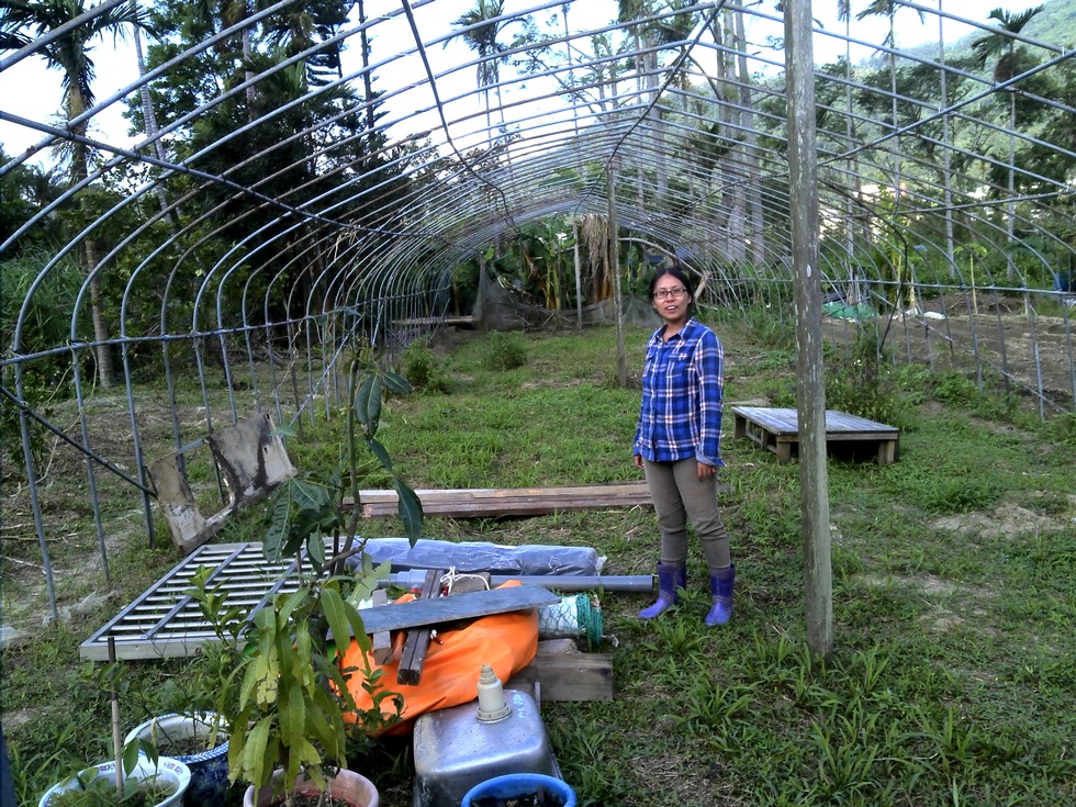 New farm in Guangxing 廣興 DSC00014