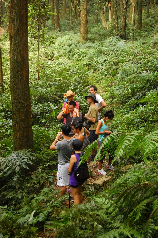 Jungle Trek with James DSC_5319