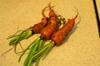 next photo: XiLouAn refugees - nearly forgotten carrots