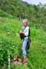 Collecting herbs among the weeds