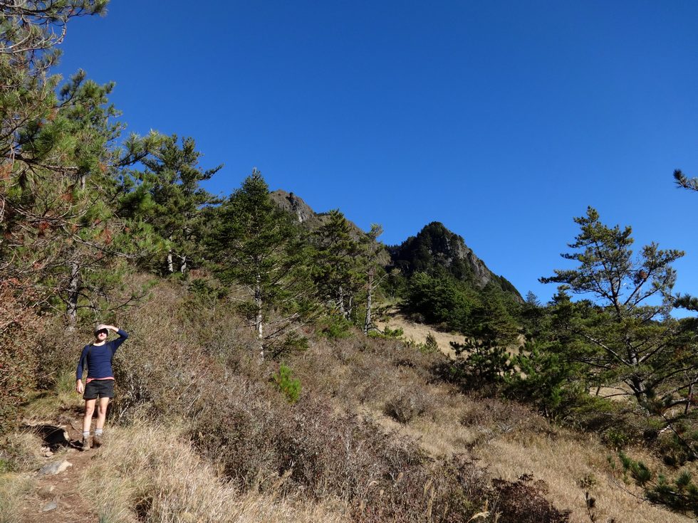 Taoshan 桃山 DSC02520