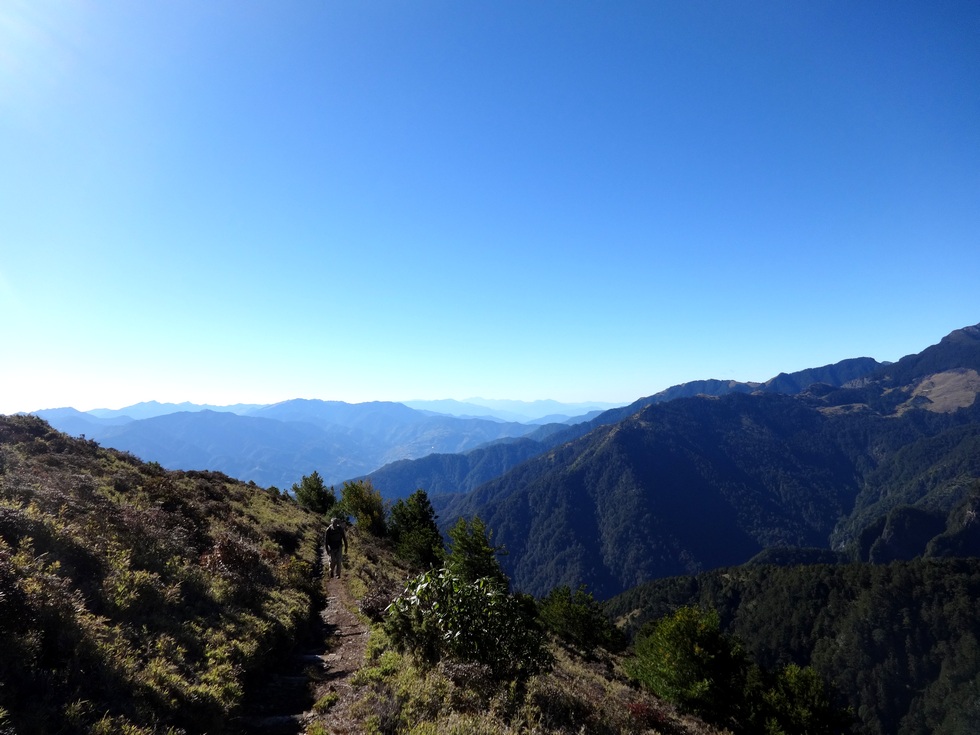 Taoshan 桃山 DSC02541